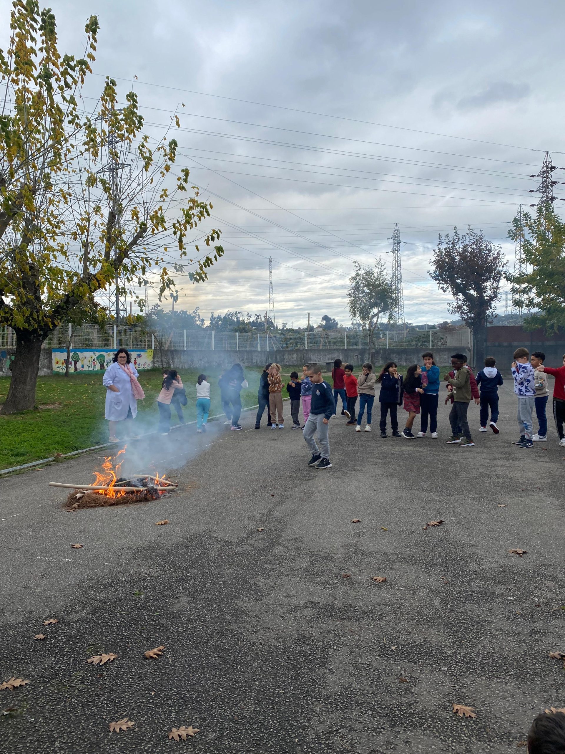 WhatsApp Image 2025-11-13 at 15.04.55